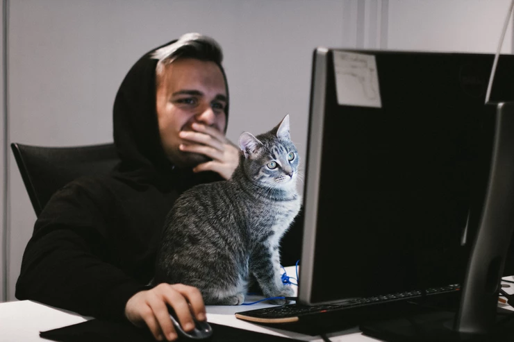 7 redenen om een kat te nemen als huisdier.