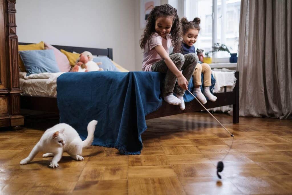 kattenspeelgoed hengel