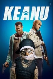 films voor kattenliefhebbers